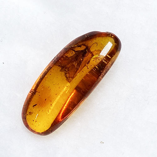 虫入り琥珀アンバーInsects in Amberリトアニア産Balttic Sea iw241212a04