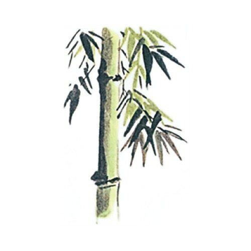 耐油懐敷 12角 竹(1000枚入)/業務用/新品/小物送料対象商品