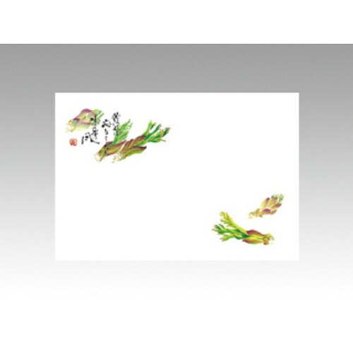 【10袋セット】テーブルマットNo.284 たらの芽 1袋(100枚入)/業務用/新品/小物送料対象商品｜厨房機器と店舗用品 TENPOS