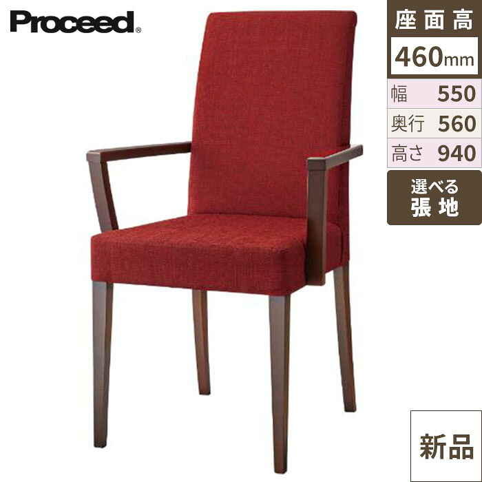 業務用椅子【プロシード】リーブルアームイスC-BR 11548-A 幅550×奥行560×高さ940 シート高460(mm)/業務用/新品/送料無料
