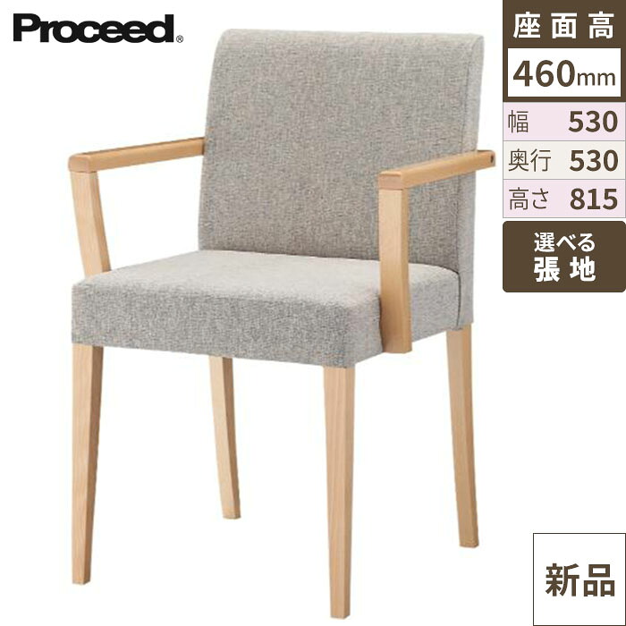 業務用椅子【プロシード】リーブルアームイス2A-NA 11560-A 幅530×奥行530×高さ815 シート高460(mm)/業務用/新品/送料無料