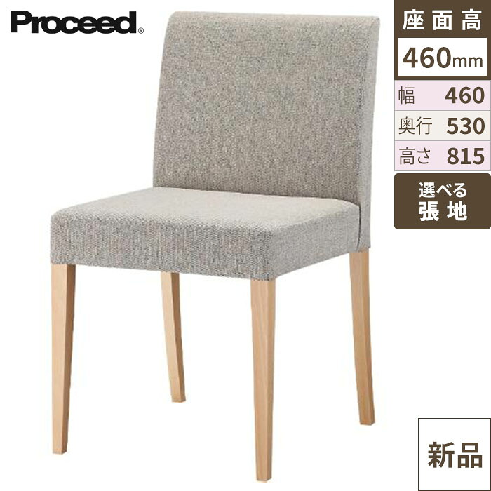 業務用椅子【プロシード】リーブルイス2-NA 11557-A 幅460×奥行530×高さ815 シート高460(mm)/業務用/新品/送料無料|厨房機器と店舗用品 TENPOS