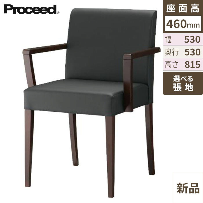 業務用椅子【プロシード】リーブルアームイス2A-BR 11564-A 幅530&times;奥行530&times;高さ815 シート高460(mm)/業務用/新品/送料無料｜厨房機器と店舗用品 TENPOS