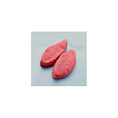アメ・マジパン用 葉型 シリコンゴム マトファー 80524 桜草 【 業務用 】【送料無料】 /テンポス