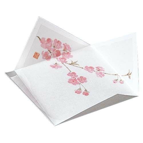 抗菌 四季の紙皿 さくら (200枚入)/業務用/新品/小物送料対象商品