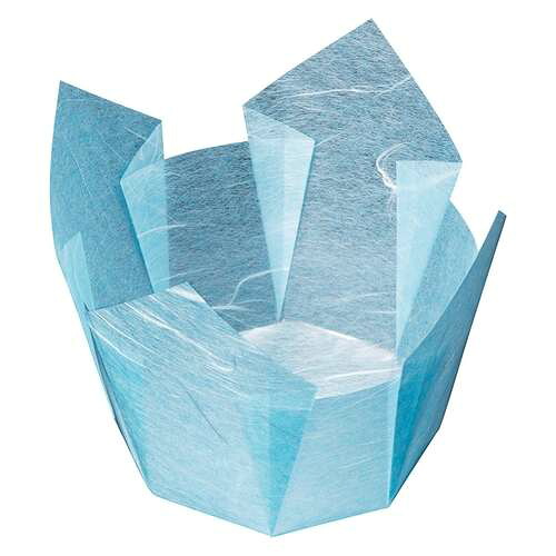 両面OP繊細さ入 水雲竜 大 (100枚入)/お役目用/新品/小物貨物輸送客体商いもの