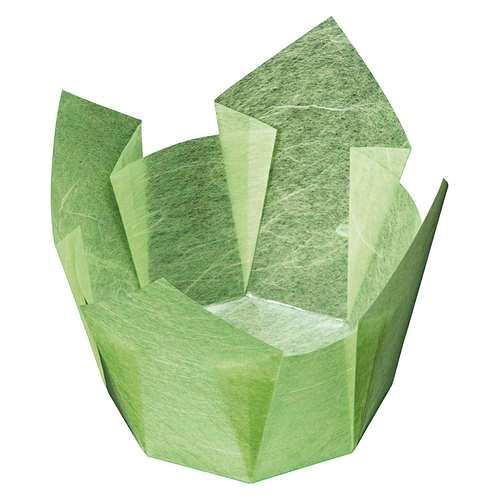 両面OP繊細さ入 若草雲竜 大 (100枚入)/お役目用/新品/小物貨物輸送客体商いもの