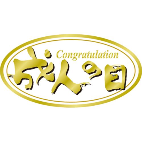 SL付け紙 成人の日/500枚×10冊入/御勤め用/新品/貨物輸送無料