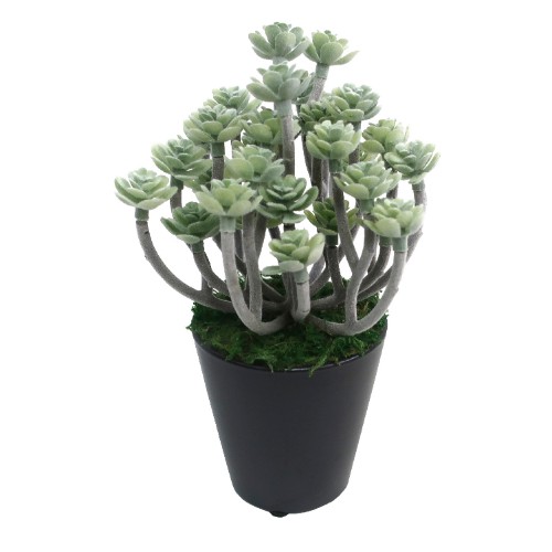 人工観葉植物 グリーンセダム ミニサイズ/業務用/新品/小物送料対象商品