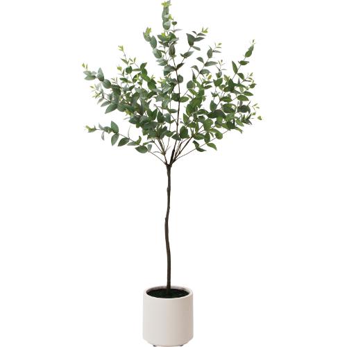 GLA-1579 ユーカリポット/全長120cm 幅60cm 鉢φ18cm×H18m/業務用/新品/送料別途見積