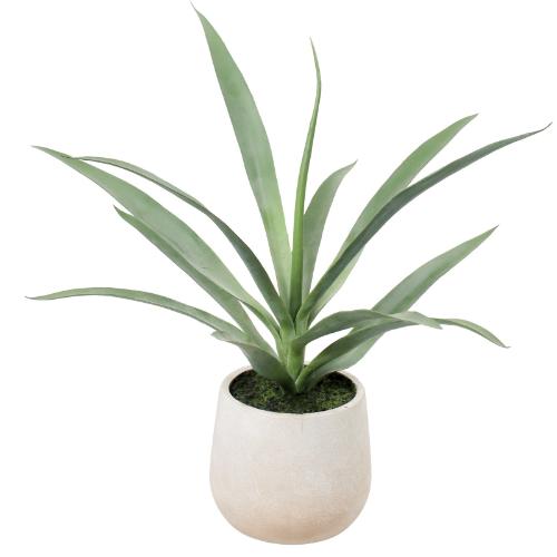 GLA-1633 ユッカポット/全長50cm 幅60cm(鉢φ15cm×15cm)/業務用/新品/送料別途見積