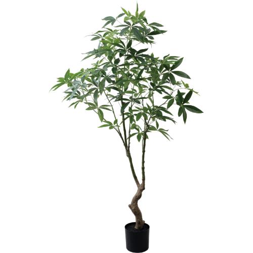 GLP-1566 180cmパキラ/全長180cm 幅90cm 鉢φ19cm×H17.5cm/業務用/新品/送料別途見積|厨房機器と店舗用品 TENPOS