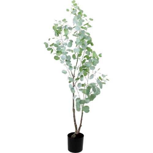 GLP-1598 170cmユーカリ/全長170cm 幅85cm(鉢φ18.5cm&times;17.5cm)/業務用/新品/送料別途見積｜厨房機器と店舗用品 TENPOS