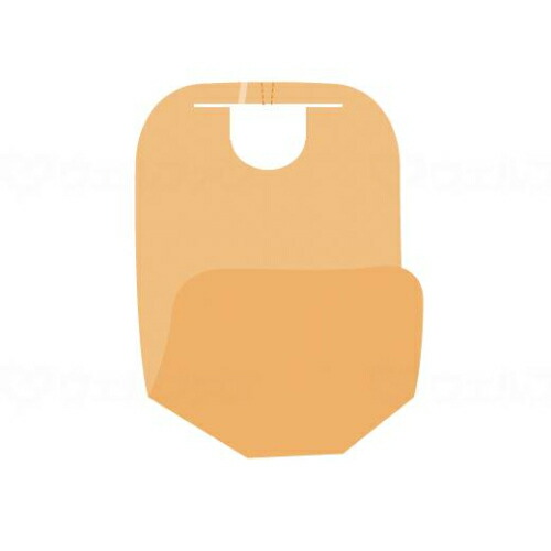 ポケロン/入れもの/60枚入/御役目用/新品/貨物輸送無料