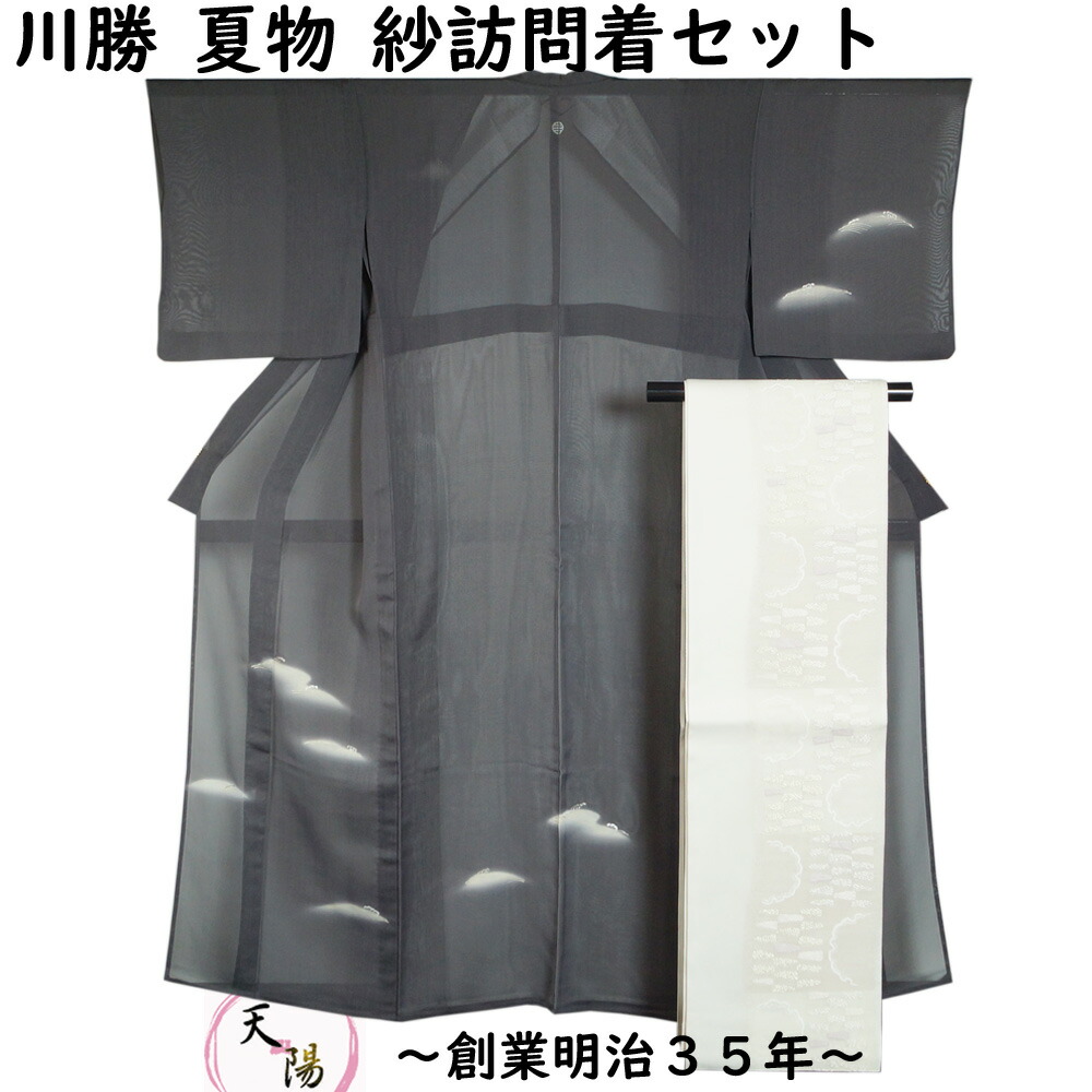 D543 夏着物 日本和裁技術院 訪問着 流水 紗 正絹 極美品 D543 夏着物