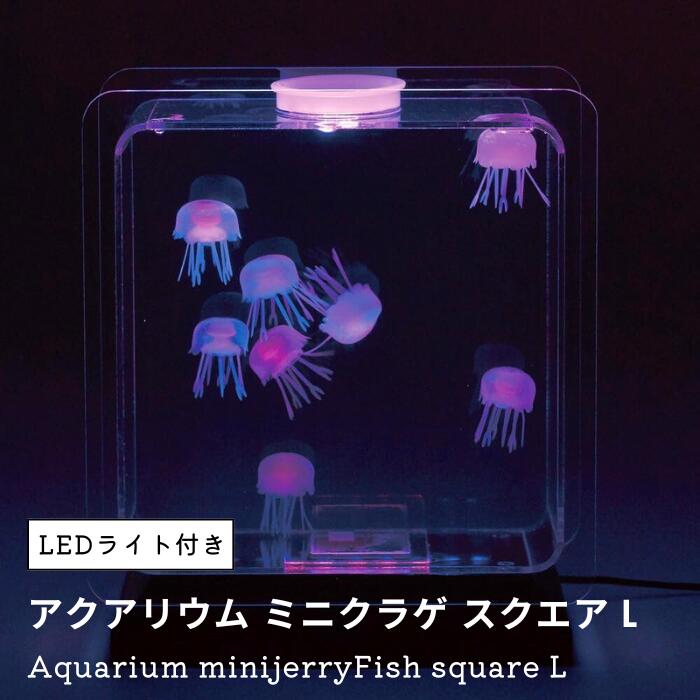 早見表御召しもの特集