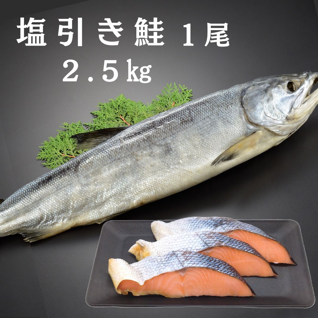 【送料無料】　塩引き鮭　1尾　2.5kg　新潟　越後伝統　辛塩　辛口　鮭　しゃけ　寒風干し　日本海　ギフト　プレゼント　贈り物　昔ながらの｜鮭の専門店　セイキ商店