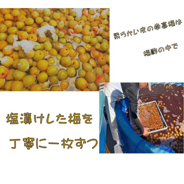 市場 お試しの170ｇまごころ梅 しそ味 うめぼし 紀州南高梅 南高梅 お得なパック 梅干し