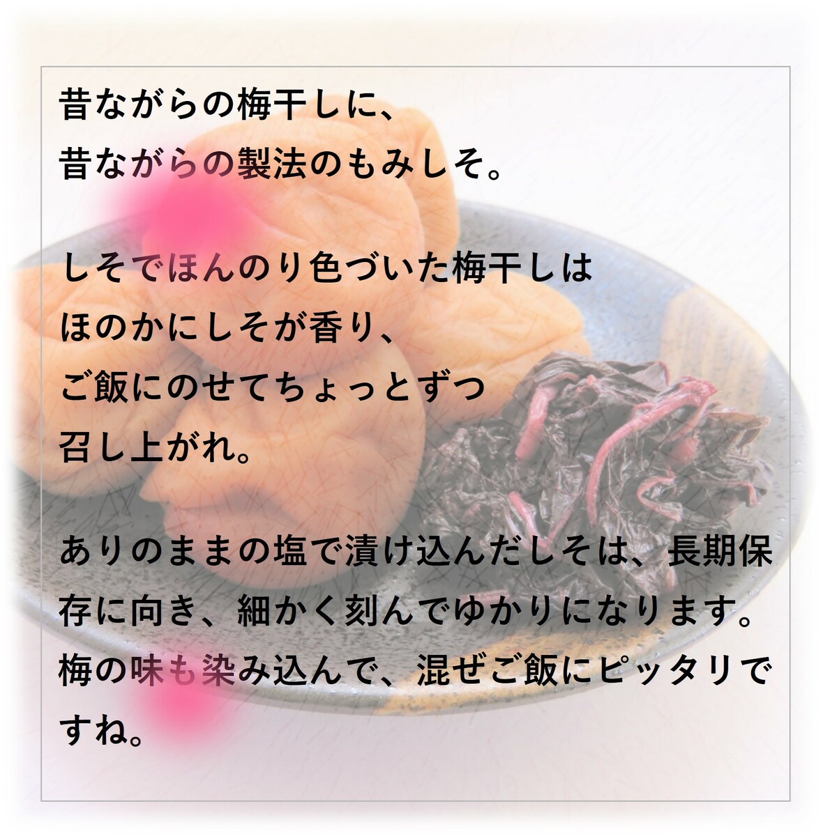 市場 昔ながらしそ梅 梅干し うめぼし すっぱい 無添加 まごころ梅 無着色 しょっぱい