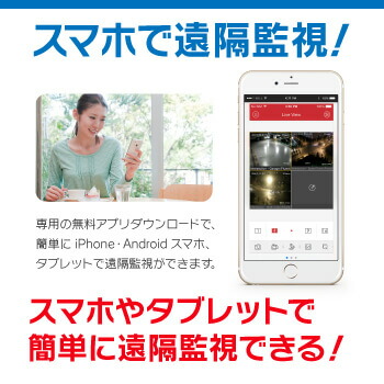 マイク内蔵 ネットワーク 防犯カメラセット 選択 防犯カメラセット 4ch 