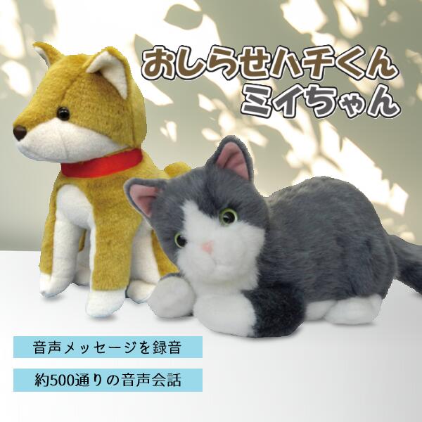 楽天市場】LIFULL HOME'S したい暮らしキャンペーン 本田翼目覚まし