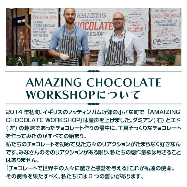 楽天市場 21年の入荷は ありません The Amazing Chocolate バレンタイン チョコ 絵の具 ペイントブラシ チョコレートセット 本物そっくり アメイジング チョコレート 絵の具 工具 そっくり 面白い Diy 会社 職場 ギフト プレゼント 酒食処 寺津屋