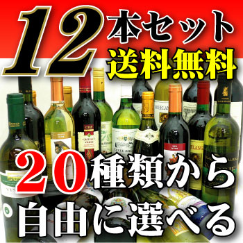 世界のワイン20種類から選べる☆12本 選んでも良し!!おまかせでもＯＫ!! ◆送料無料対象外地域有