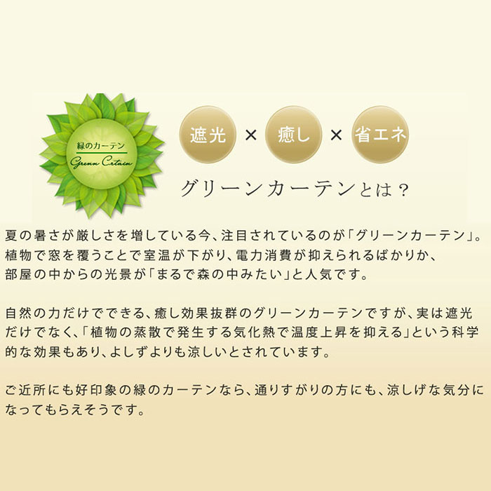 クーポン対象 ガーデンフェンス 立てかけ式 柵 グリーンカーテン ガーデニング 目隠し ベランダ バラ 枠 仕切り 支柱 庭 ガーデン 柱 ガーデニングフェンス ガーデニング雑貨 花壇 目隠し 置くだけ フェンス ゲート ラティス アンティーク風 トレリス 遮光 仕切り