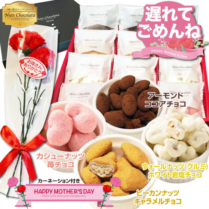 30 割引クーポンあり プレゼント スイーツ チョコレート ギフト カーネーション お菓子 食べ物 ナッツ チョコ 送料無料 贅沢ナッツショコラータ4種 3袋 小分け ピーカンナッツキャラメル 苺チョコ 12袋 ナッツチョコレート アーモンド 即日発送 ミックスナッツ 花とお菓子