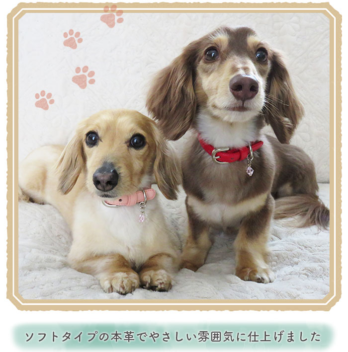 楽天市場 犬 首輪 メール便送料無料 おしゃれ 革 かわいい 迷子札 中型犬 本革 犬首輪 犬の首輪 首輪 小型犬 皮 日本製 柴犬 チワワ トイプードル フレンチブル いぬ くびわ 犬用品 レザー 皮 てるべる テルベル カラー 犬用 カラー Cha 1 犬の首輪屋 てるべる