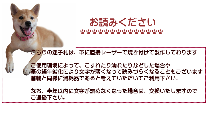 楽天市場 犬 迷子札 オーダー メール便送料無料 猫 迷子札 軽い