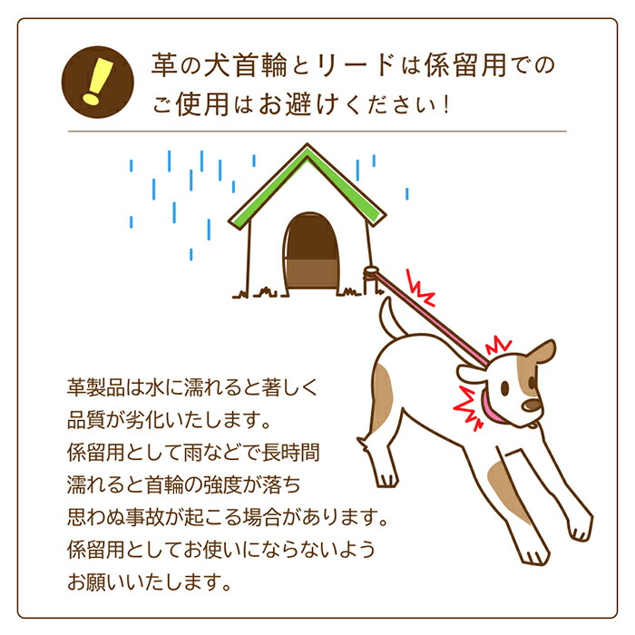 大型探チョーカー 大型犬実利首輪 犬 首輪 犬首輪 犬の首輪 犬用首輪 大型犬 間者 くびわ 犬用値打ち 貨物輸送無料 小粋 お洒落 かわ良い 見事 かっこいい 修道会端た 中型犬 匣 銘柄 日本製 セキュア 安泰 犬の首輪棲家てるべる真赭 青色 Lg 2 Cannes Encheres Com