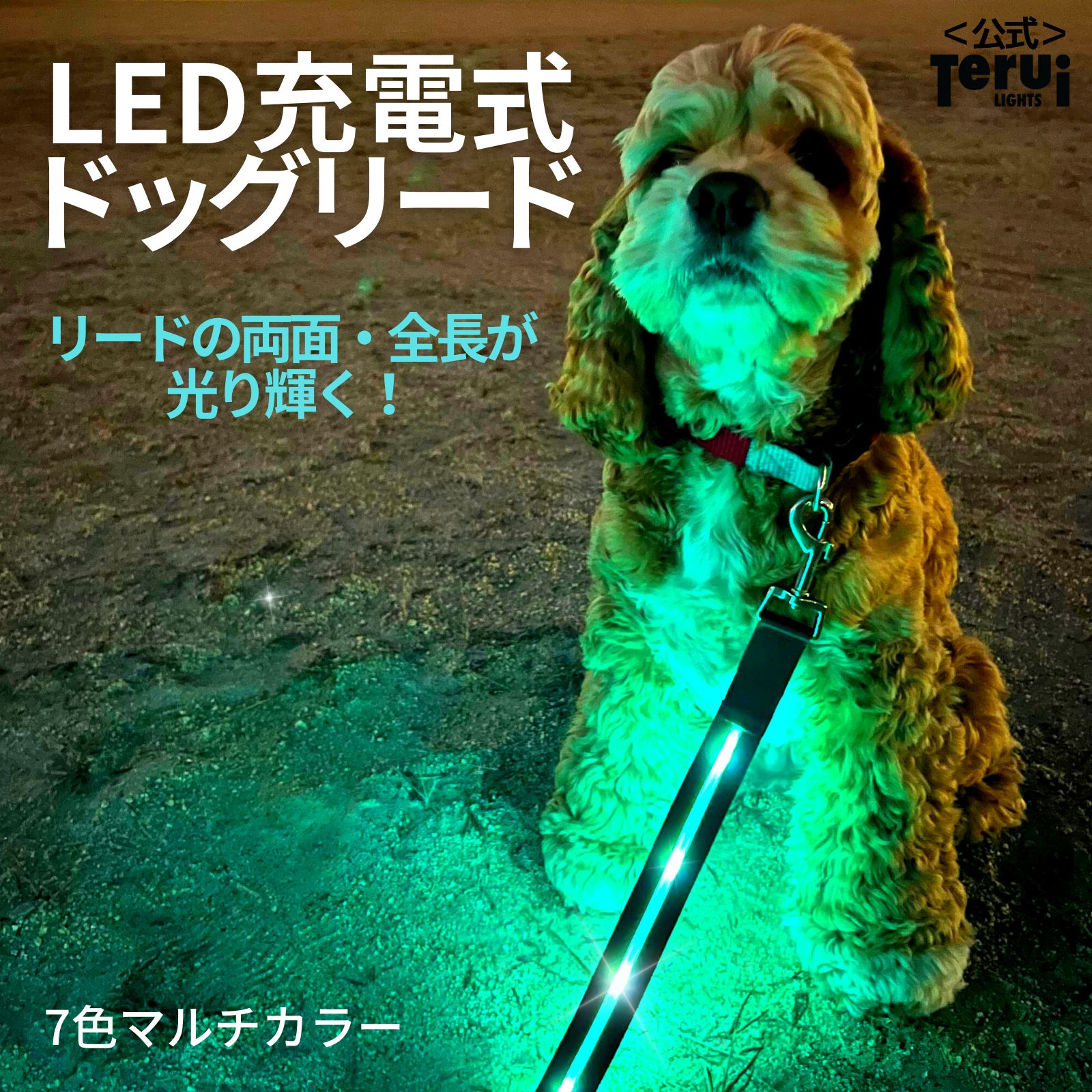 犬用光るリード｜夜のお散歩に安心な光るリードのおすすめは？