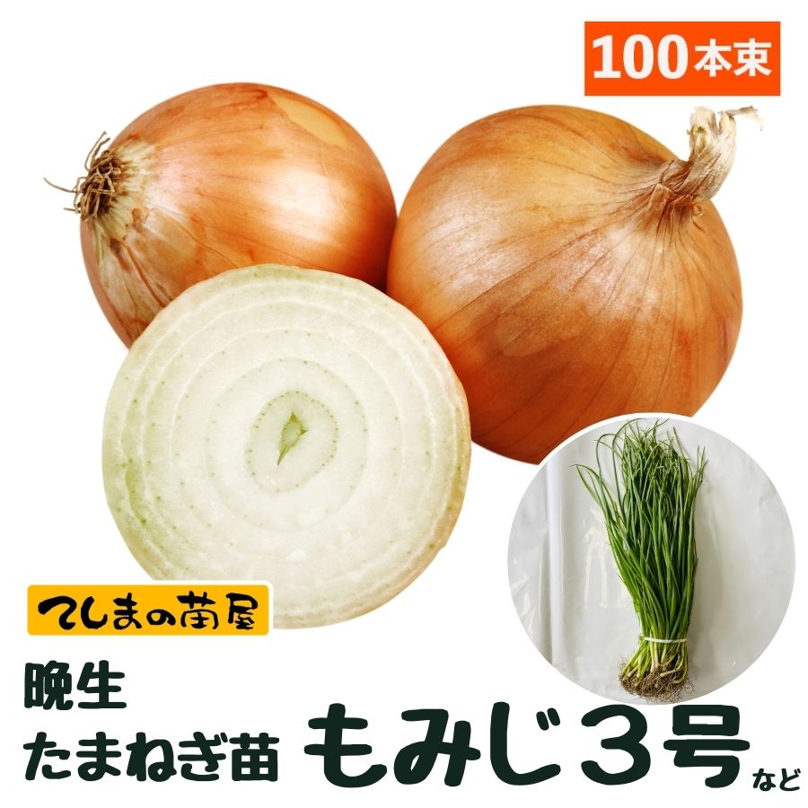 楽天市場】【予約受付中】 赤玉たまねぎ苗 約50本束 湘南レッド くれ