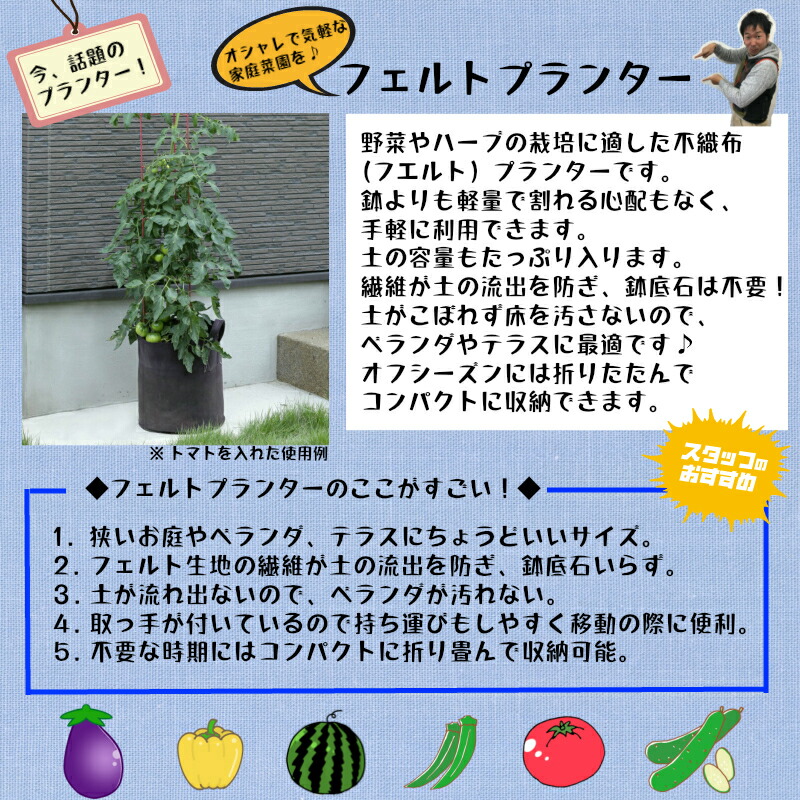 楽天市場 てしまの苗 家庭菜園用 フェルトプランター てしまの苗屋 楽天市場店