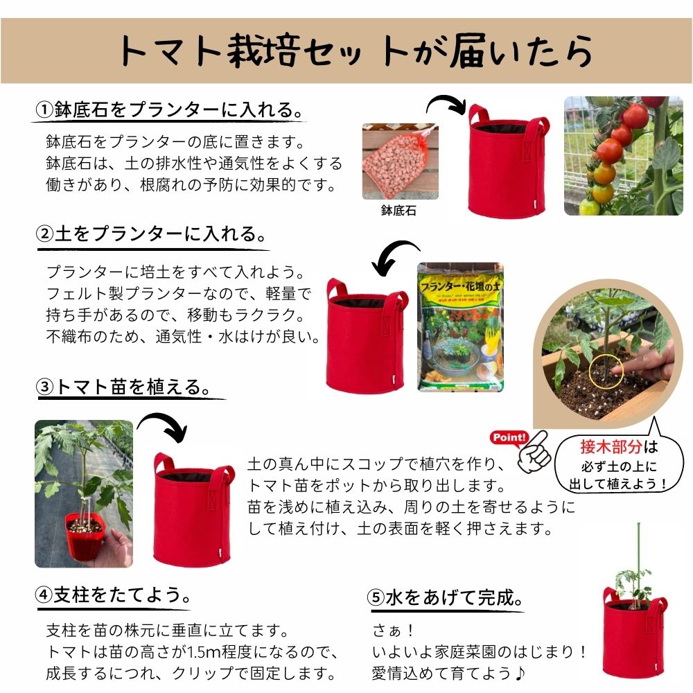 てしまの苗 ミニトマト栽培セット 沖縄への配送は送料900円加算 送料無料 北海道