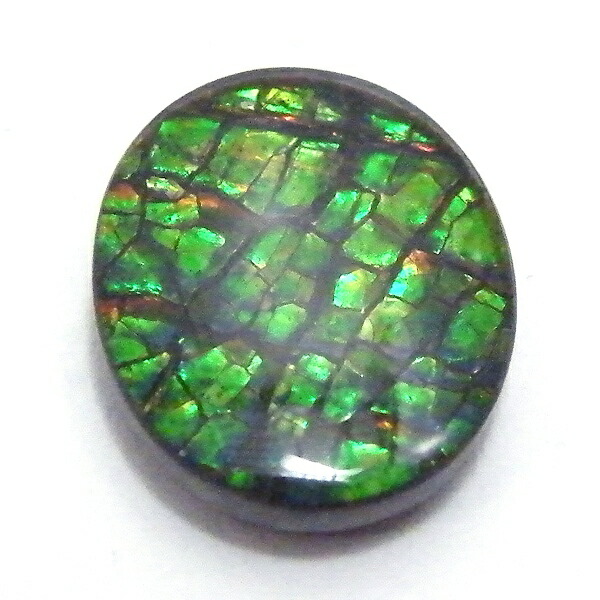 アンモライト(Ammolite) 1点限定 トリプレットルース 約10x12mm 3.60ct 裸石 ルース アンモナイト