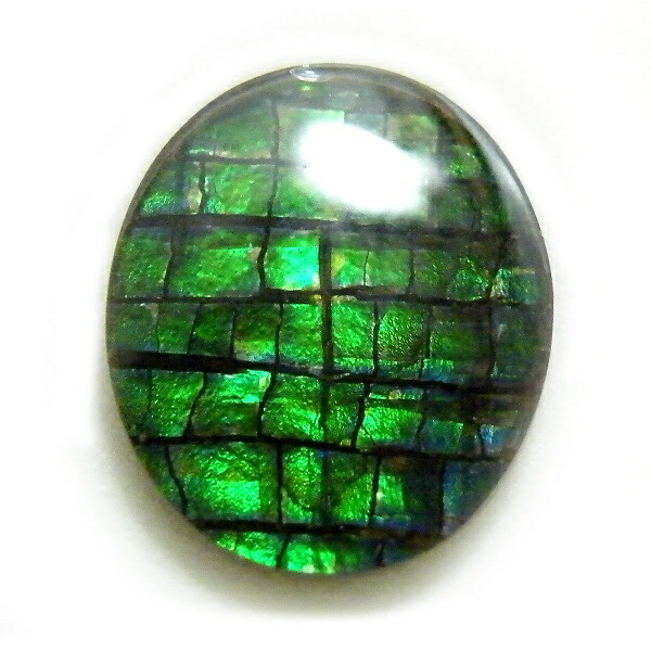 アンモライト(Ammolite) 1点限定 トリプレットルース 約10x12mm 3.03ct 裸石 ルース アンモナイト