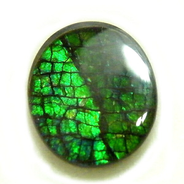 アンモライト(Ammolite) 1点限定 トリプレットルース 約9x11mm 2.50ct 裸石 ルース アンモナイト｜テソロ　店