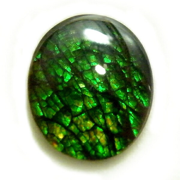 アンモライト(Ammolite) 1点限定 トリプレットルース 約9x11mm 2.27ct 裸石 ルース アンモナイト 13,490円