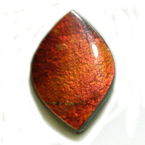 アンモライト(Ammolite) 1点限定 トリプレットルース 約14x20mm 7.71ct 裸石 ルース アンモナイト