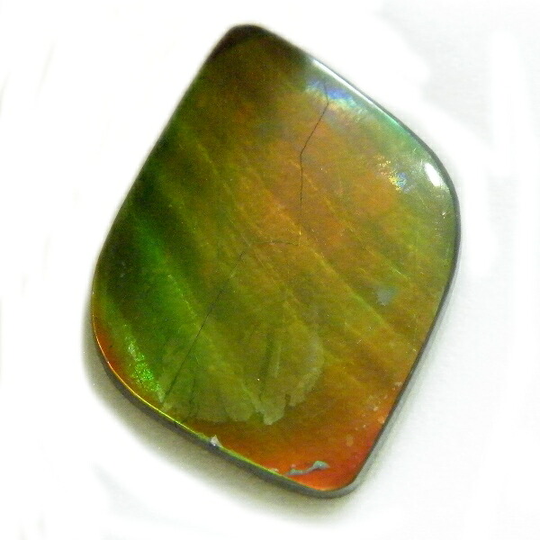 アンモライト(Ammolite) 1点限定 トリプレットルース 約19x24mm 13.22ct 裸石 ルース アンモナイト|テソロ 店
