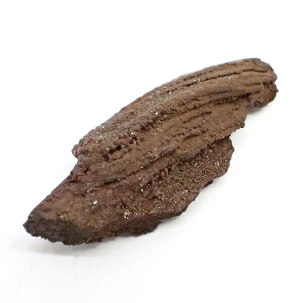 楽天市場】【一点物】【希少】ペトリファイドウッド 約13.2mm