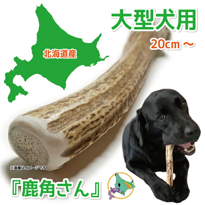 楽天市場】【大型犬用 蝦夷鹿の角】『鹿角さん』 けんか角 1本
