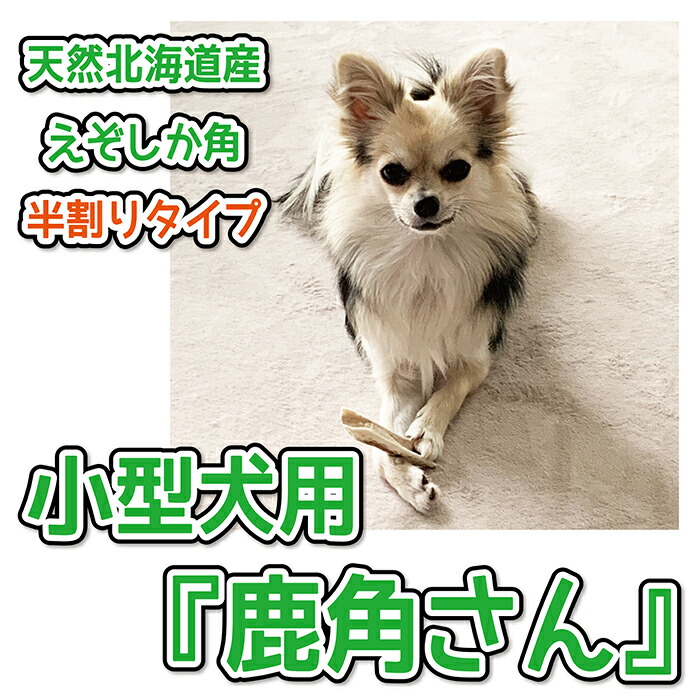 楽天市場 小型犬用 蝦夷鹿の角 犬のおもちゃ 鹿角さん 髄出し割り角 半割りタイプ 2本セット サイズ 長さ10 12cm 太さ1 5 3cm 天然 無添加 北海道産 エゾシカノツノ 手づくり屋さんのエゾ鹿ツノ 手づくり屋さん 楽天市場店