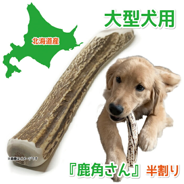 再入荷】 中型犬用 蝦夷鹿の角 鹿角さん 約15cm 四つ割り 1本 天然 無添加 北海道産 鹿の角 犬のおもちゃ 犬 かむおもちゃ エゾ鹿 エゾシカ  ツノ デンタル 鹿角 discoversvg.com