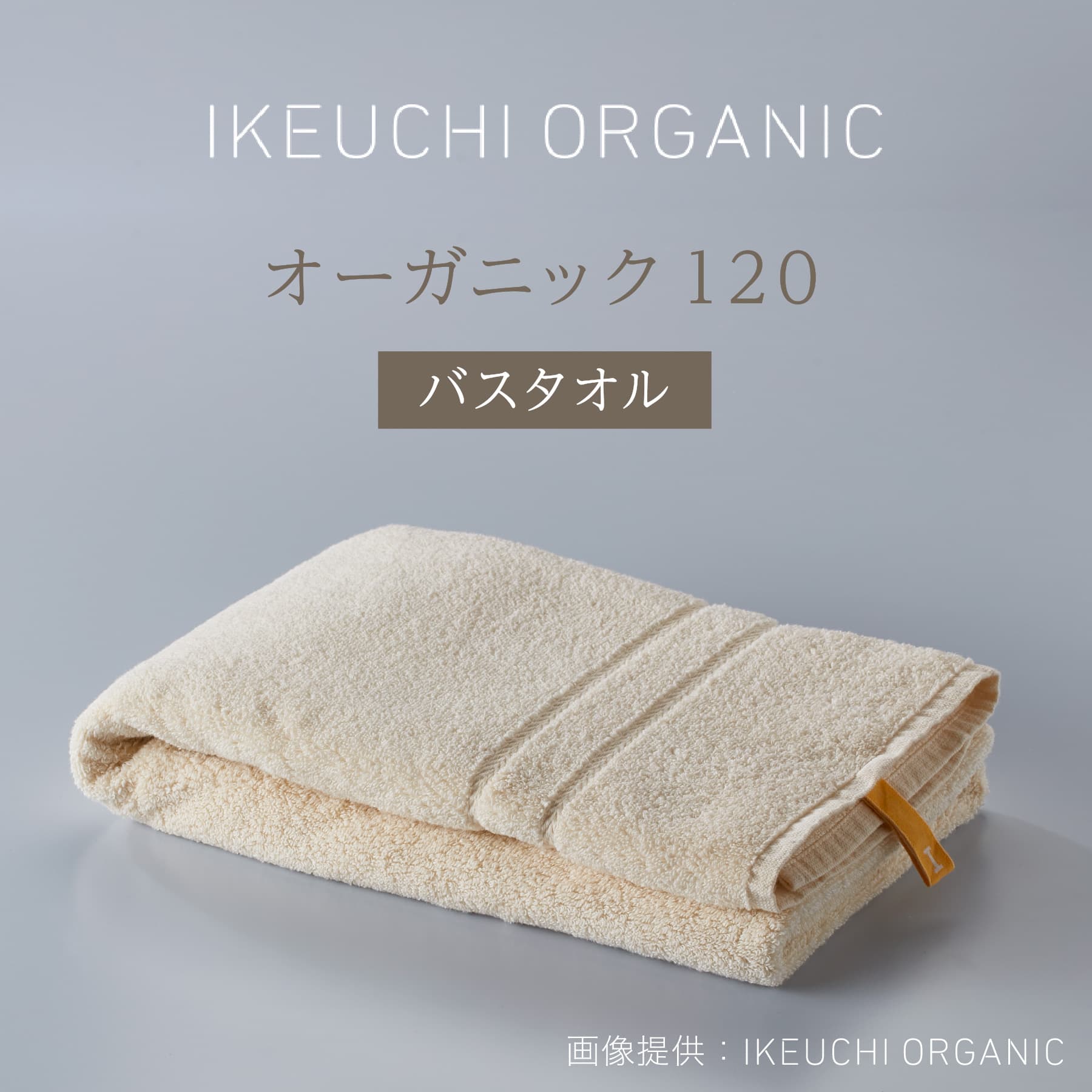 高い品質 IKEUCHI ORGANIC オーガニック732タオルケット 新品未使用品