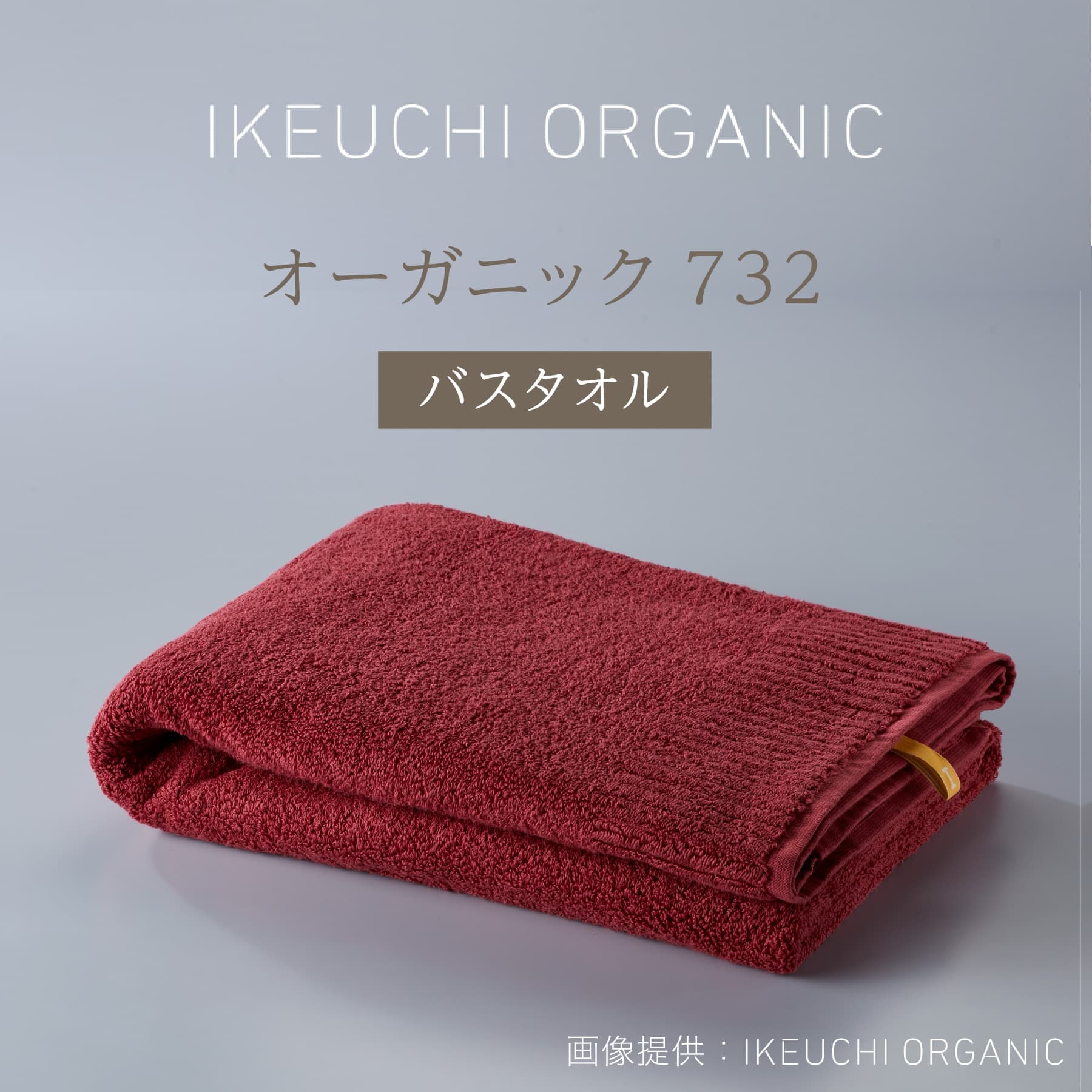 高い品質 IKEUCHI ORGANIC オーガニック732タオルケット 新品未使用品