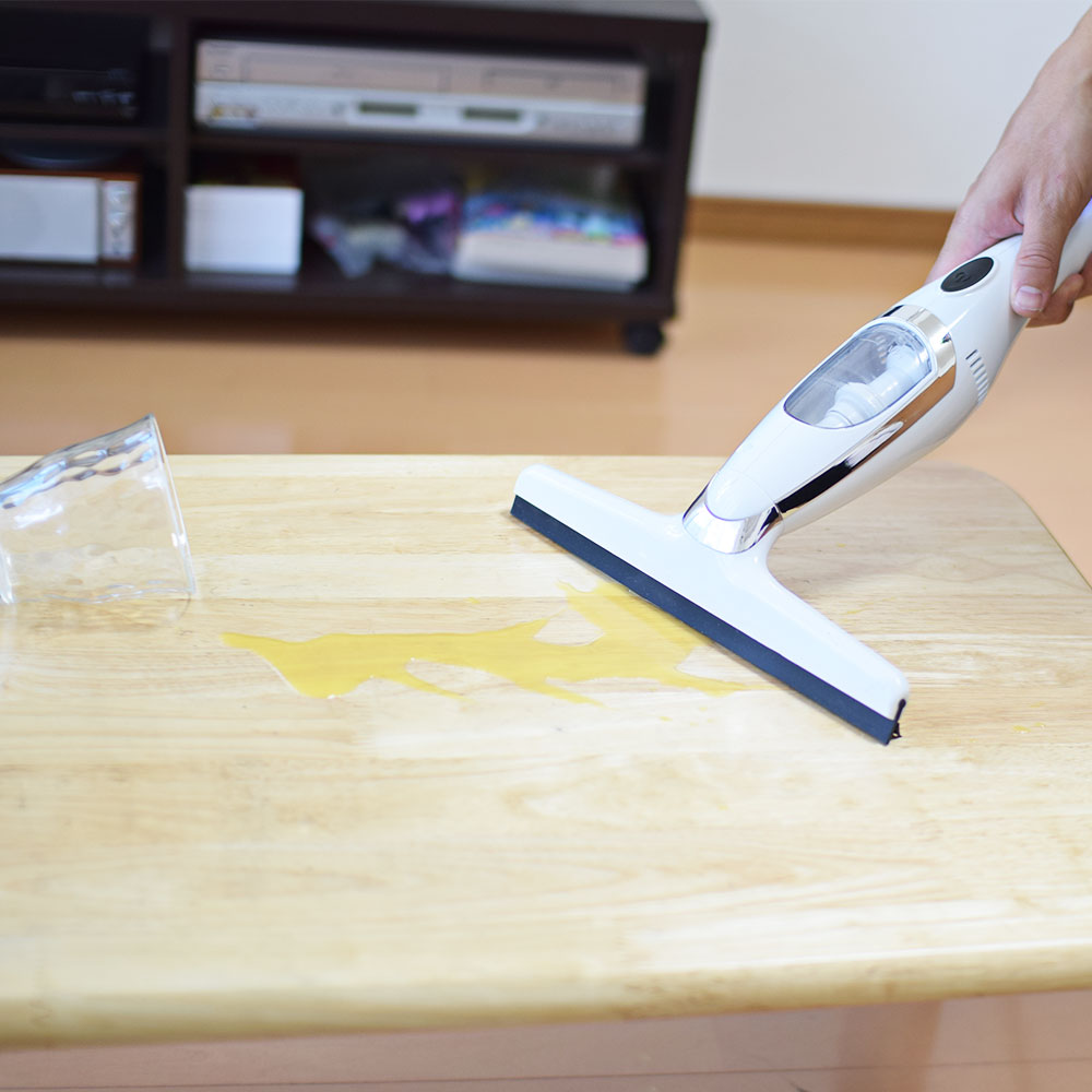 楽天市場 掃除機 結露防止 結露 結露対策 リンサー リンサークリーナー 掃除 水分 吸い取る カビ 粗相 こぼしたジュース バキューム ハンディクリーナ 公式 水が吸える掃除機 スイトリーナースリム Cewafwwb サンコーレアモノショップ