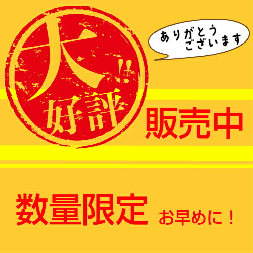 結婚式 両親 プレゼント 感謝の想い 重さに込めて ウェイトドッグ 両親 プレゼント 結婚式 贈呈品 ウェイトドック ウェイトドール 犬 ワンチャン ラブラトリー 入籍祝い 結婚祝い ウエディング ブライダル 体重ドッグ 2体セット ウェイトパピー ウエイトパピー